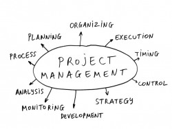 Sample essay on project management