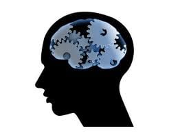 interpersonal behaviour Free Psychology Essay